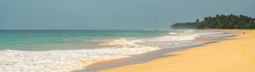 Indian ocean, sand beach picturesque landscape, Sri Lanka