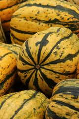 pumpkins