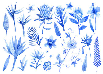 Set of tropical hand-drawn leaves and flowers in watercolor in blue tones. Monstera leaves, palm trees, protea flowers, frangipani and passionflower isolated on white background © Tonia Tkach