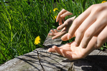 abstraction. in the mirror are female hands, dandelions sky. green nature around. close-up - 355473748
