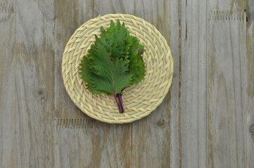 Perilla leaves, a healthy herb