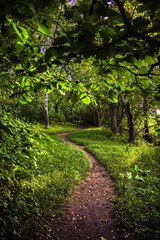 Path in the park