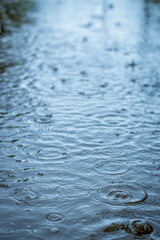 Raindrops falling in a puddle background