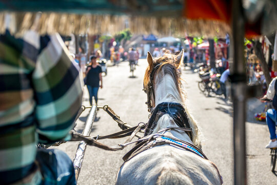 Back view of a traditional horse carriage (phaeton) riding tour with Buyukada view in sunny day. Buyukada is a neighbourhood in the Adalar (Islands) district of Istanbul Province, Turkey.