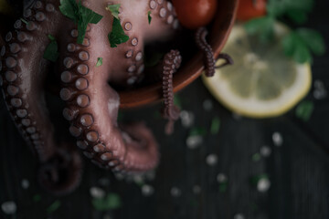 close-up of a fried octopus
