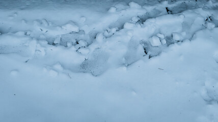 Fototapeta na wymiar The wheel footprint in the snow