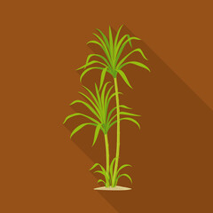 Vector design of palm and cane sign. Web element of palm and field stock symbol for web.
