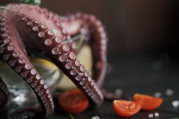 close-up of a fried octopus
