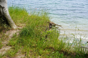 Ostseeufer bei Travemünde (Brodtener Ufer)