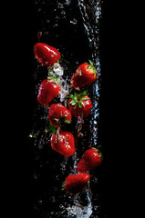 strawberry on black with water splashes