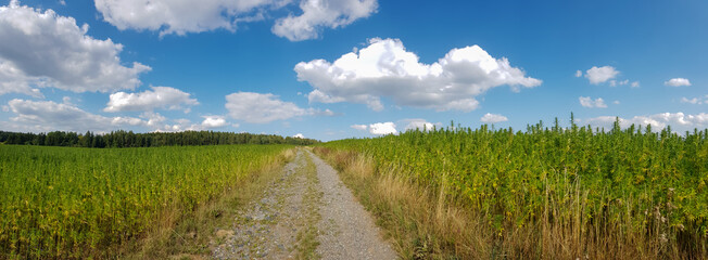 scenic panorama view of natural landscape under a cloudy sky