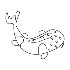 Carp vector icon.Line vector icon isolated on white background carp.