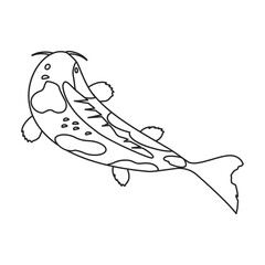 Carp vector icon.Line vector icon isolated on white background carp.