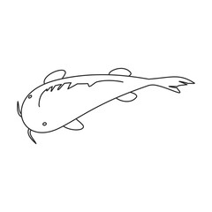 Carp vector icon.Line vector icon isolated on white background carp.