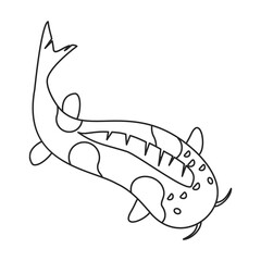 Carp vector icon.Line vector icon isolated on white background carp.