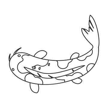 recommend clip art: Carp vector icon.Line vector icon isolated on white background carp.