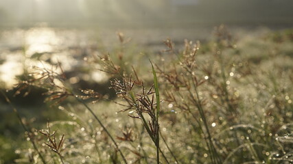 Mountains during sunset. Beautiful natural landscape in the summer time