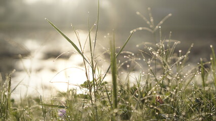 Mountains during sunset. Beautiful natural landscape in the summer time
