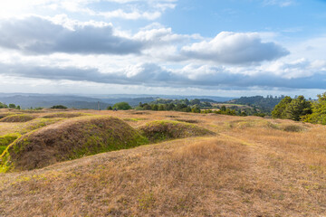 Ruapekapeka pa - ruins of a maori fortress in New Zealand