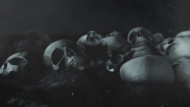 Black Raven and Human Skulls in a Field