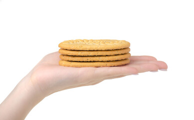 cookies in hand on white background isolation