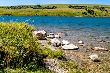 Along the shore line. Chain Lake Provincial Park. Alberta, Canada