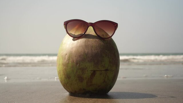 Tourist coconut in sunglasses on a sandy beach on a background of the sea