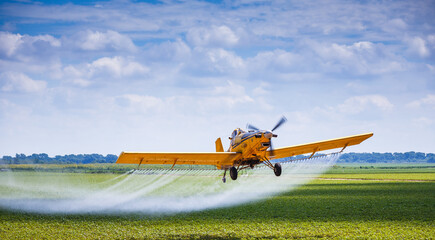 Yellow Crop Duster Airplane Aerially Applies Pesticide to Cotton Fields in Texas