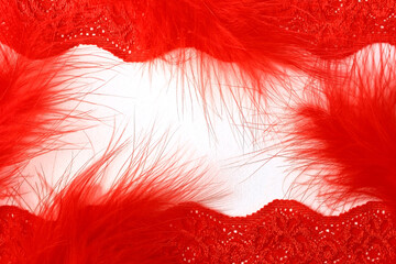 Red feathers of a bird, boa, red lace on a white background. Vintage frame, space for designer text.