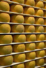 Original parmesan italian cheese stored for seasoning Parma Italy circa November 2014