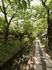 Paseo de la Filosofía, en Kioto, Japón