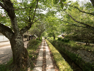 Paseo de la Filosofía, en Kioto, Japón
