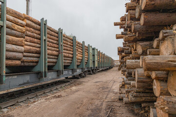 A logging train at the sawmill hauls stacked wooden logs and tree trunks. A train with felled trees. The train leaves the territory of the woodworking plant.