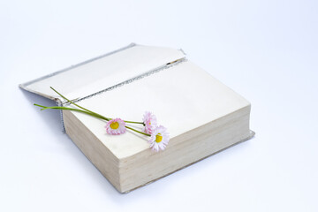 open old book. Bouquet of flowers from daisies. View from above. on white background. Place for text.
