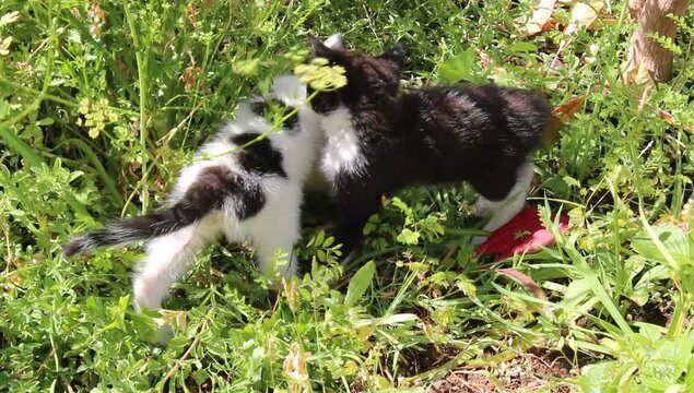 Dos hermanos jugando 