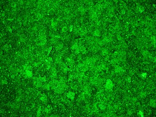 green grunge background, natural uneven green background. texture of painted cement with small stones