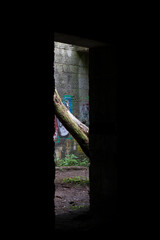 cave-in at an old munitions factory