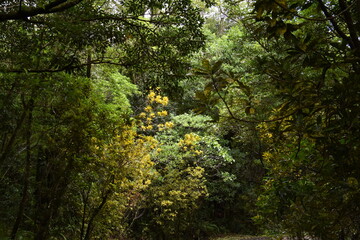 Trou de lumi&egrave;re