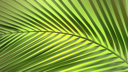 Fototapeta premium Striped of palm leaf, Abstract green texture background. 3d illustration