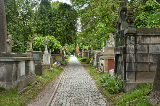 Na starym cmentarzy - cmentarz Rakowicki; Krak&oacute;w