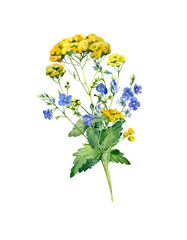 Watercolor bouquet of bright blue flowers of Veronica and tansy
