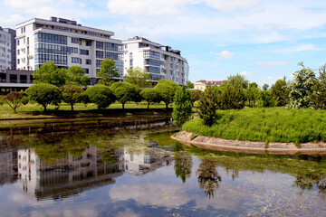 Obraz premium Beautiful landscape of the summer forest