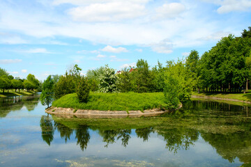 Beautiful landscape of the summer forest