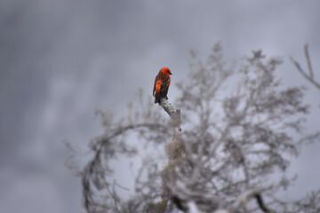 De la couleur dans les ténèbres