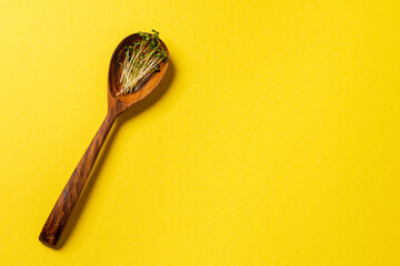 Micro greens in wooden spoon on paper background