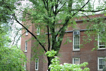 Upper East Side Architecture Buildings Homes Churches