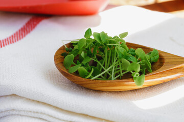 Micro greens in wooden spoon on cotton napkin