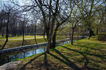 Summer green evening in the park Red Presnya