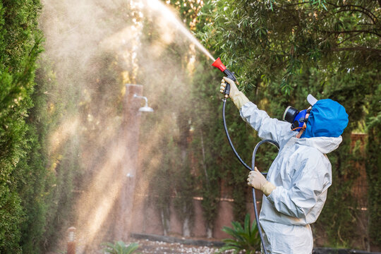 Fumigator applying plant protection products and herbicides to the plants of a house with a garden. The fighter is wearing a protective mask and a white protective suit against toxic products.