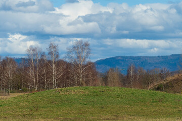 Naturschutzgebiet Wald, Sanddünen in Baden-Baden Sandweier